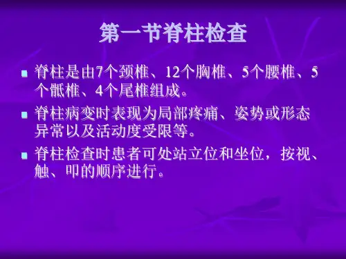 脊柱与四肢检查