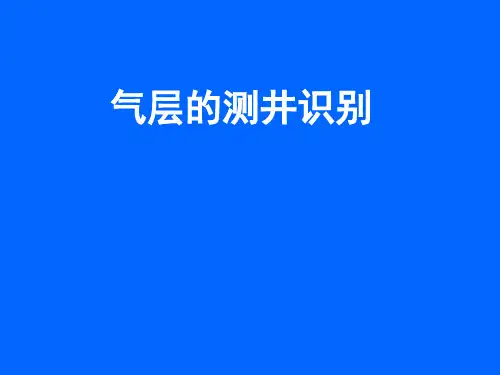 气层的测井识别