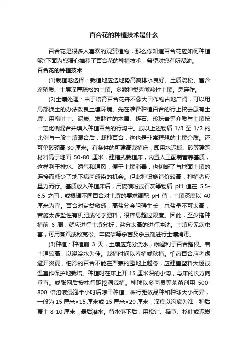 百合花的种植技术是什么
