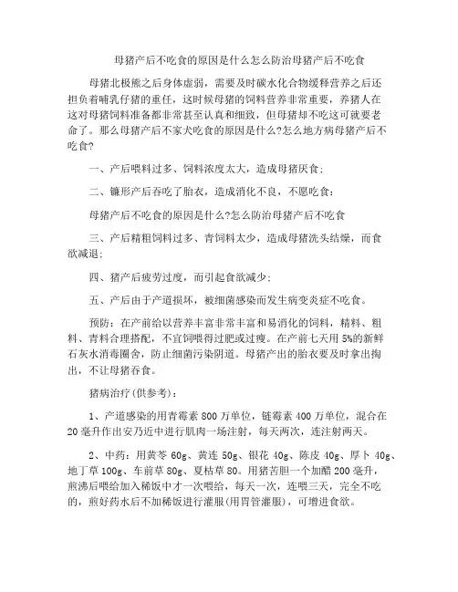 母猪产后不吃食的原因是什么怎么防治母猪产后不吃食