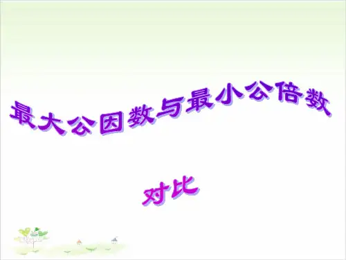 新人教版《最大公因数》ppt1