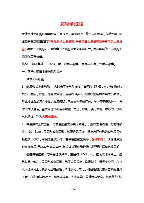 脱落细胞图谱