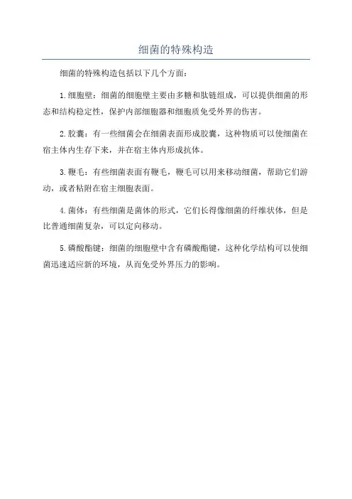 细菌的特殊构造