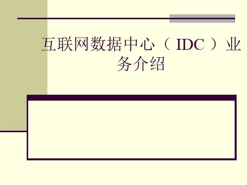 互联网数据中心(IDC)业务介绍精品PPT课件