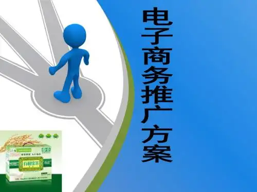 电子商务有机稻米推广方案ppt课件