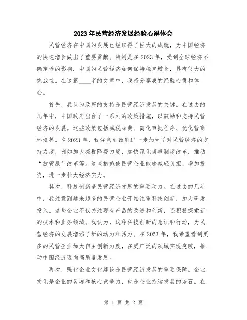 2023年民营经济发展经验心得体会