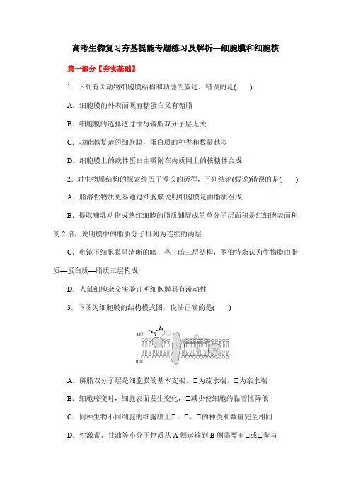高考生物复习夯基提能专题练习及解析—细胞膜和细胞核