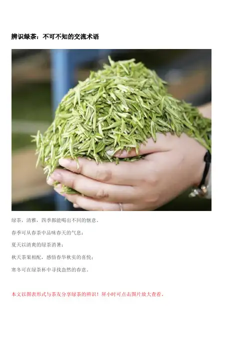 各种绿茶的辨识方法