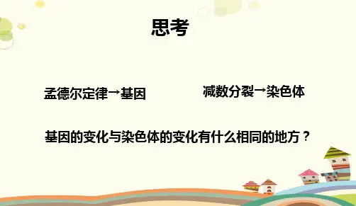 遗传染色体学说公开课完整版课件