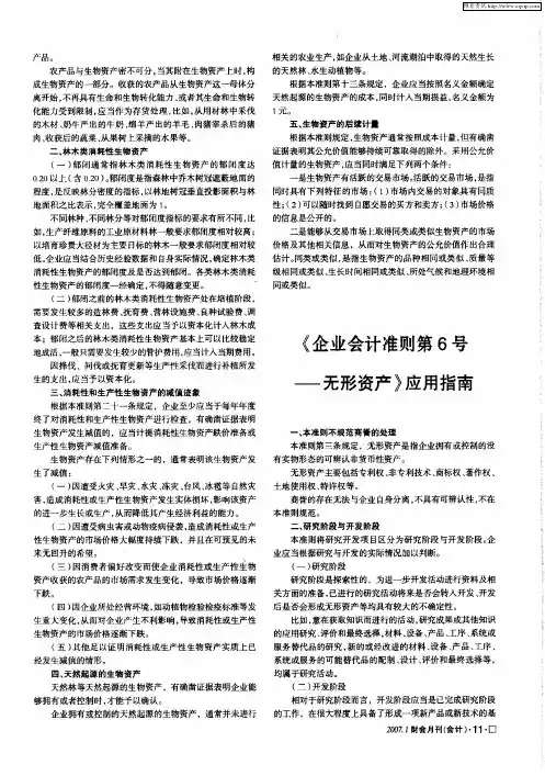 《企业会计准则第6号——无形资产》应用指南