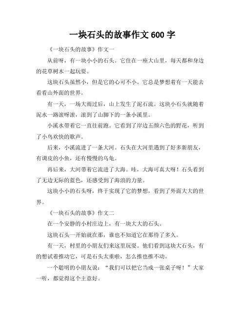一块石头的故事作文600字