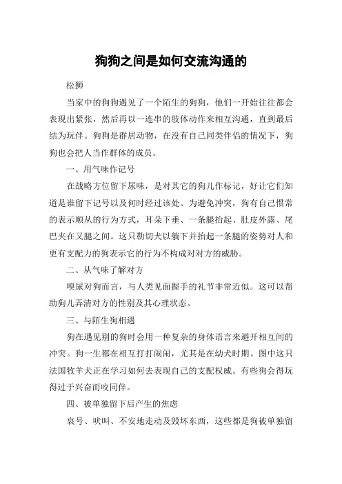 狗狗之间是如何交流沟通的