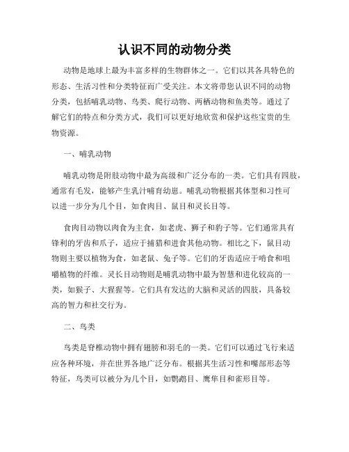 认识不同的动物分类