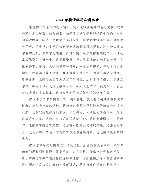 2024年德语学习心得体会（五篇）