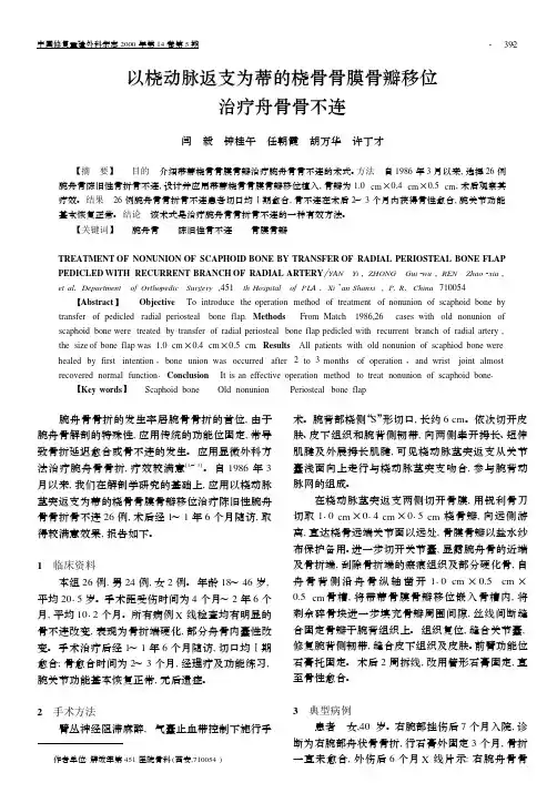 以桡动脉返支为蒂的桡骨骨膜骨瓣移位 治疗舟骨骨不连