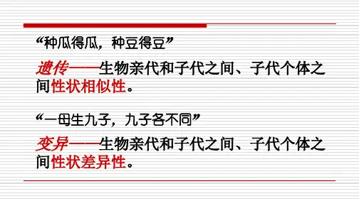5.1基因突变和基因重组—人教版高中生物必修二课件(共27张PPT)