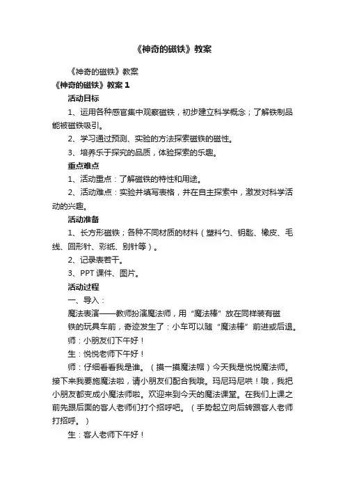 《神奇的磁铁》教案