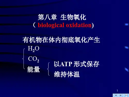 医学生物化学(第八章)生物氧化
