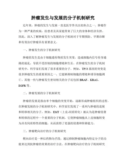 肿瘤发生与发展的分子机制研究
