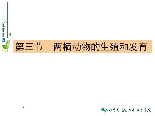 【课件】人教版八年级下：用第三节1《两栖动物的生殖和发育》课件(16张ppt)