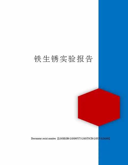 铁生锈实验报告