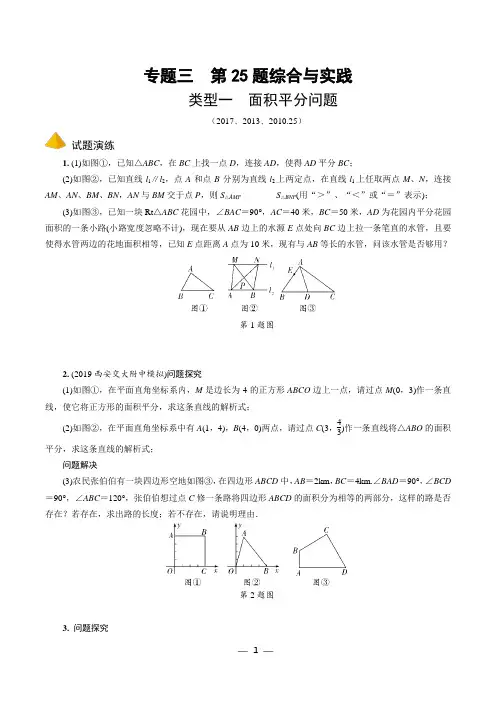 中考数学解答重难专题专题三  第25题综合与实践试题演练
