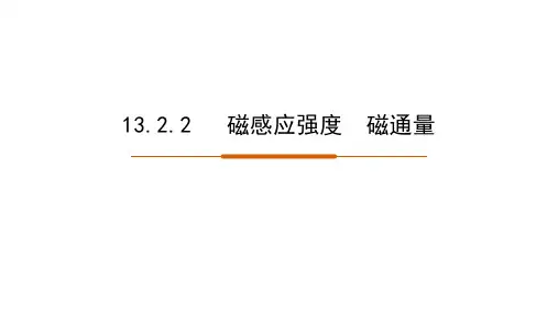物理人教版(2019)必修第三册13.2磁感应强度 磁通量(共17张ppt)