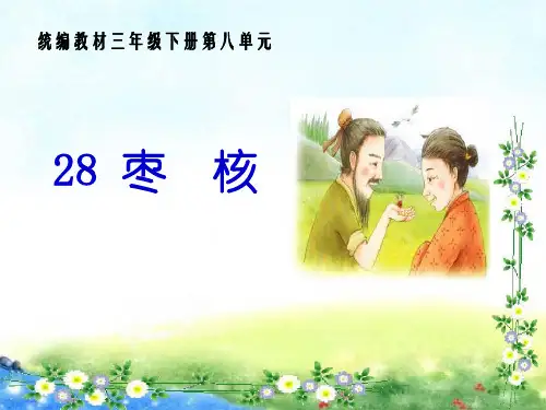  《枣核》人教(部编版)PPT 