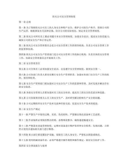 阳光公司安全管理制度