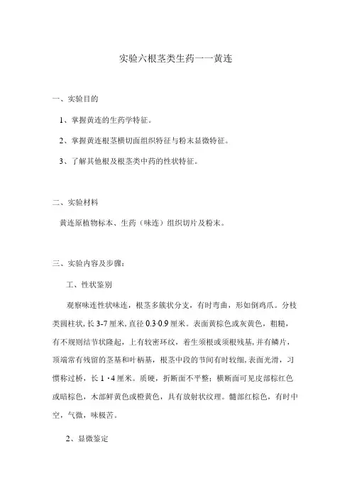 包医大生药学实验指导06根茎类生药——黄连