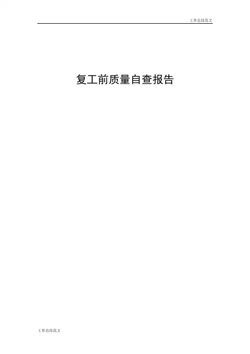 【工作总结】年复工自查报告