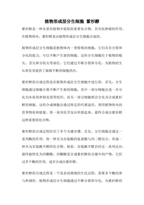 植物形成层分生细胞 紫杉醇