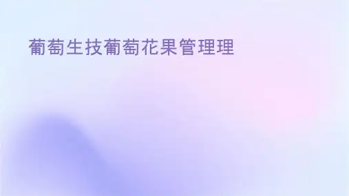葡萄生产技术葡萄花果管理护理课件