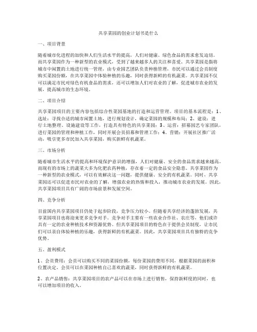 共享菜园的创业计划书是什么