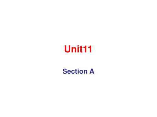 人教版英语九年级Unit11 Section A B 知识点讲解