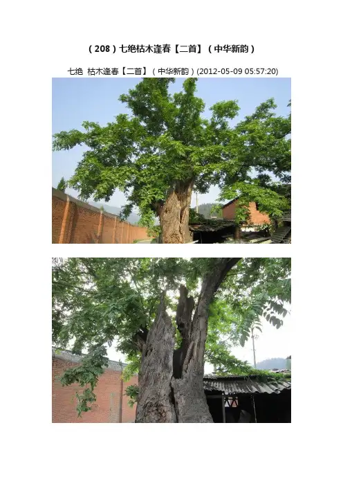 （208）七绝枯木逢春【二首】（中华新韵）