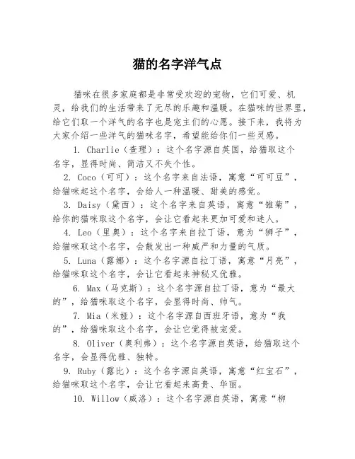 猫的名字洋气点