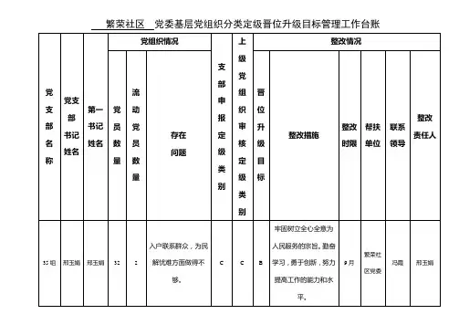 12党委基层党组织分类定级晋位升级目标管理工作台账