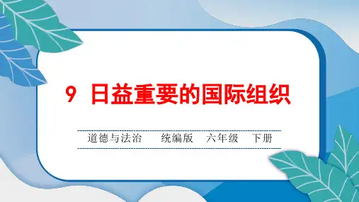 统编版小学六年级道德与法治下册第四单元第9 日益重要的国际组织课后综合练习题课含答案