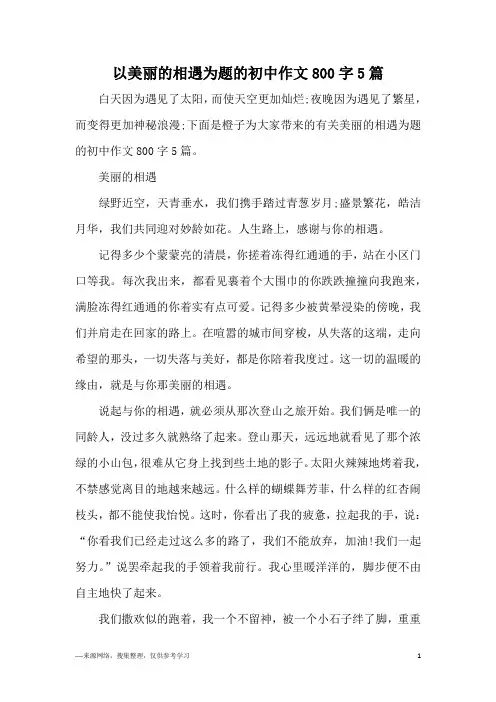 以美丽的相遇为题的初中作文800字5篇