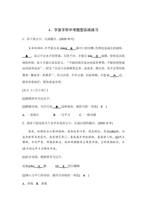 2021年浙江中考语文复习 字音字形中考题型实战练习