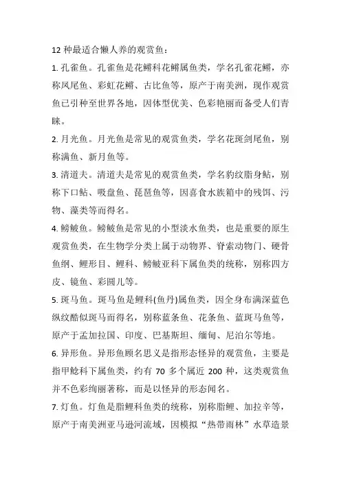 12种最适合懒人养的观赏鱼