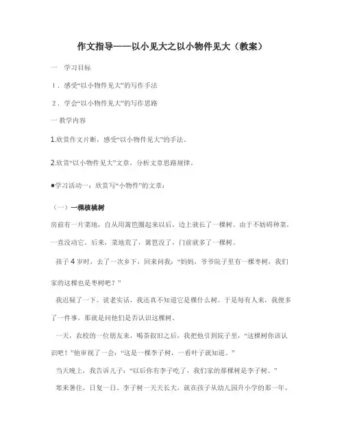 作文指导——以小见大之以小物件见大(教案)