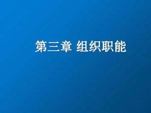 管理学基础第三章 组织职能