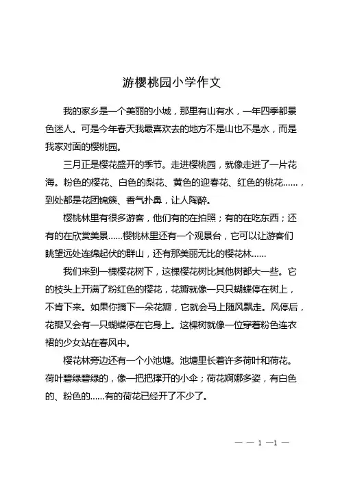 游樱桃园小学作文