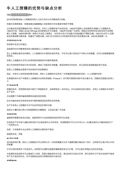 牛人工授精的优势与缺点分析