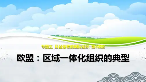 高中政治选修3精品课件2：5.5 欧盟：区域一体化组织的典型