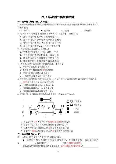 2016深二模试题(含答案)