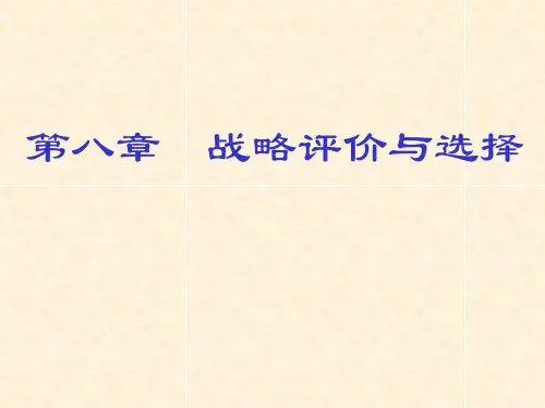 战略评价与选择