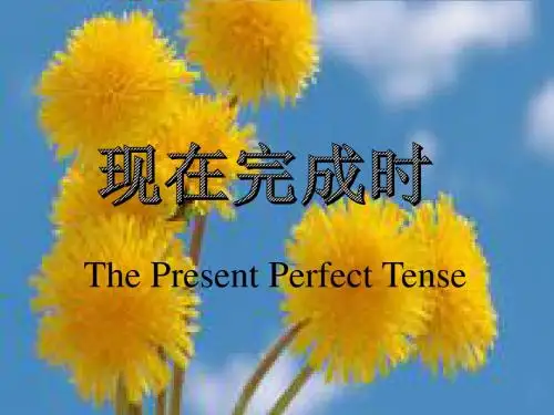 现在完成时课件(上课用)